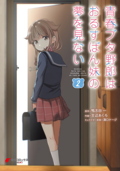 青春ブタ野郎はおるすばん妹の夢を見ない 第02巻